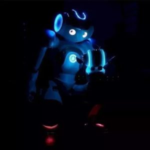 2024 Intelligent RC Smart Lawrence Robot