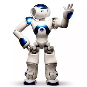 2024 Intelligent RC Smart Lawrence Robot