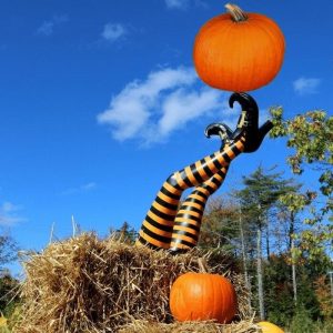 Witch Leg Stakes. Set Of Two Yard Halloween Decoration