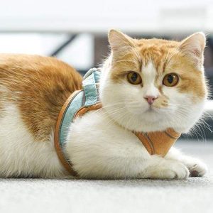 Walk Your Cat Safely - Harness And Leash Combo For Escape-Proof Adventures