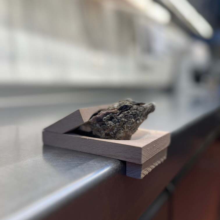 product-image-687e460e45dd4