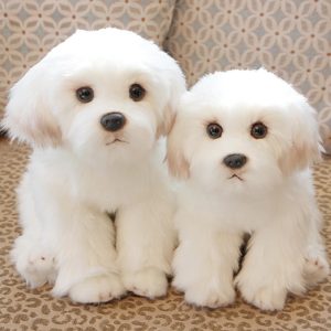 Realistic White Fluffy Puppy Stuffed Animal Doll - Simulation Pet Plush Toy