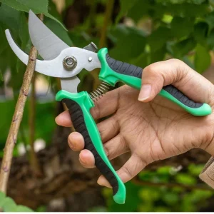 Stainless Steel Professional Gardening Pruning Shears for Branches and Flowers - Household Pruning Tools