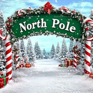 Christmas North Pole Backdrops Xmas Holidays Party Decorations Photography Background Banner Photo Booth Props Party Supplies - Style 1