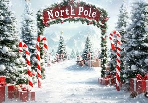 Christmas North Pole Backdrops Xmas Holidays Party Decorations Photography Background Banner Photo Booth Props Party Supplies - Style 2