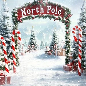 Christmas North Pole Backdrops Xmas Holidays Party Decorations Photography Background Banner Photo Booth Props Party Supplies - Style 2