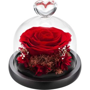 DuHouse Forever Roses Preserved Real Flowers in Glass Dome | Eternal Flower Gift for Her Valentine's Day Anniversary Birthday
