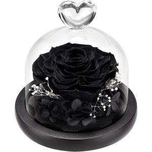 DuHouse Forever Roses Preserved Real Flowers in Glass Dome | Eternal Flower Gift for Her Valentine's Day Anniversary Birthday