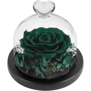 DuHouse Forever Roses Preserved Real Flowers in Glass Dome | Eternal Flower Gift for Her Valentine's Day Anniversary Birthday