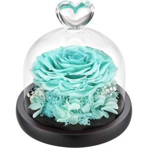 DuHouse Forever Roses Preserved Real Flowers in Glass Dome | Eternal Flower Gift for Her Valentine's Day Anniversary Birthday