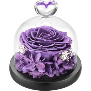 DuHouse Forever Roses Preserved Real Flowers in Glass Dome | Eternal Flower Gift for Her Valentine's Day Anniversary Birthday
