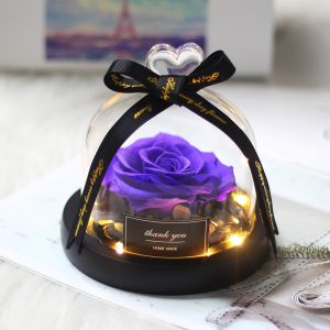 DuHouse Forever Roses Preserved Real Flowers in Glass Dome | Eternal Flower Gift for Her Valentine's Day Anniversary Birthday