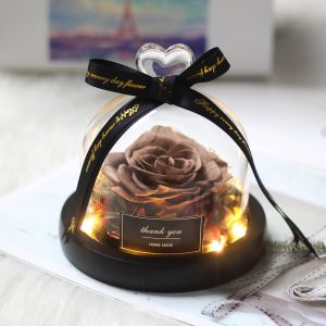 DuHouse Forever Roses Preserved Real Flowers in Glass Dome | Eternal Flower Gift for Her Valentine's Day Anniversary Birthday