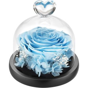 DuHouse Forever Roses Preserved Real Flowers in Glass Dome | Eternal Flower Gift for Her Valentine's Day Anniversary Birthday