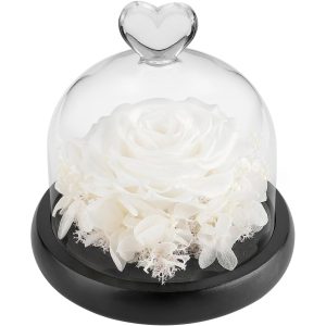 DuHouse Forever Roses Preserved Real Flowers in Glass Dome | Eternal Flower Gift for Her Valentine's Day Anniversary Birthday