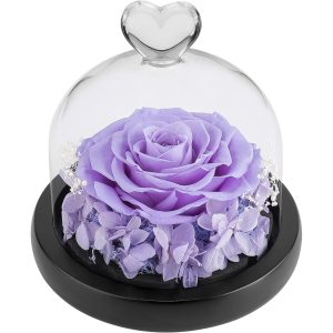 DuHouse Forever Roses Preserved Real Flowers in Glass Dome | Eternal Flower Gift for Her Valentine's Day Anniversary Birthday
